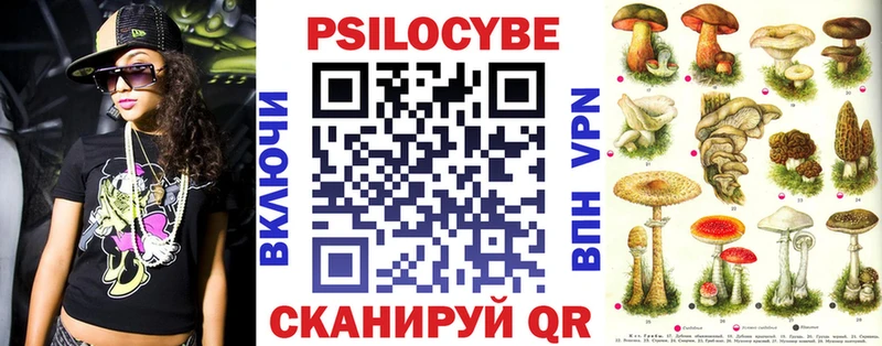 Псилоцибиновые грибы ЛСД  blacksprut ССЫЛКА  Динская 